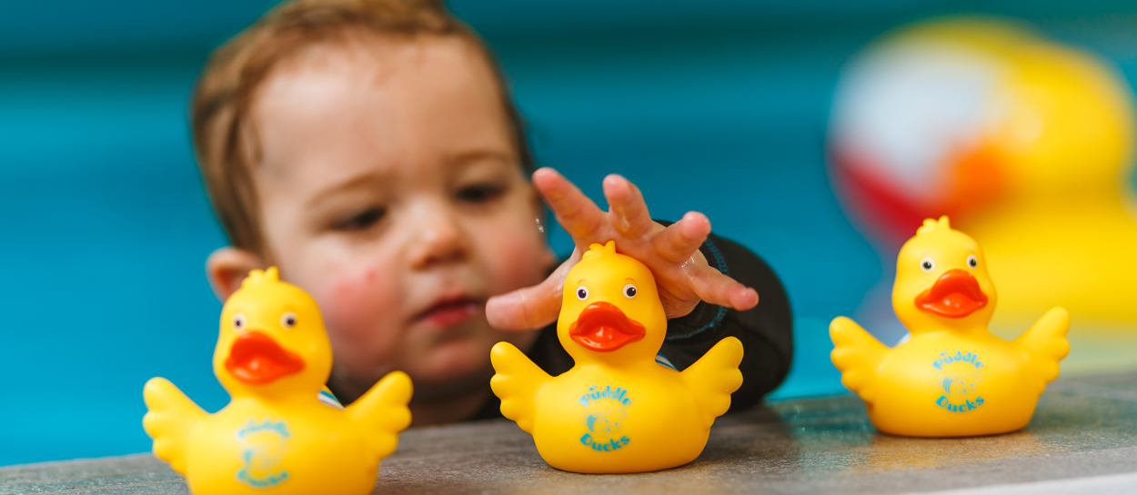 Baby Swimming 3 Ducks Image