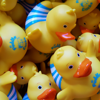 Rubber Ducks