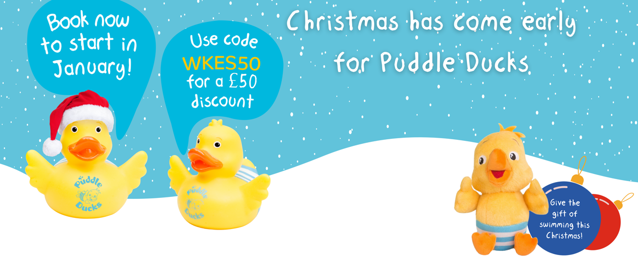 WKES Christmas Offer Banner