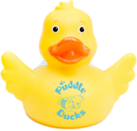 Home_Puddle Ducks Duck