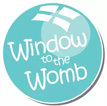 Window to the Womb