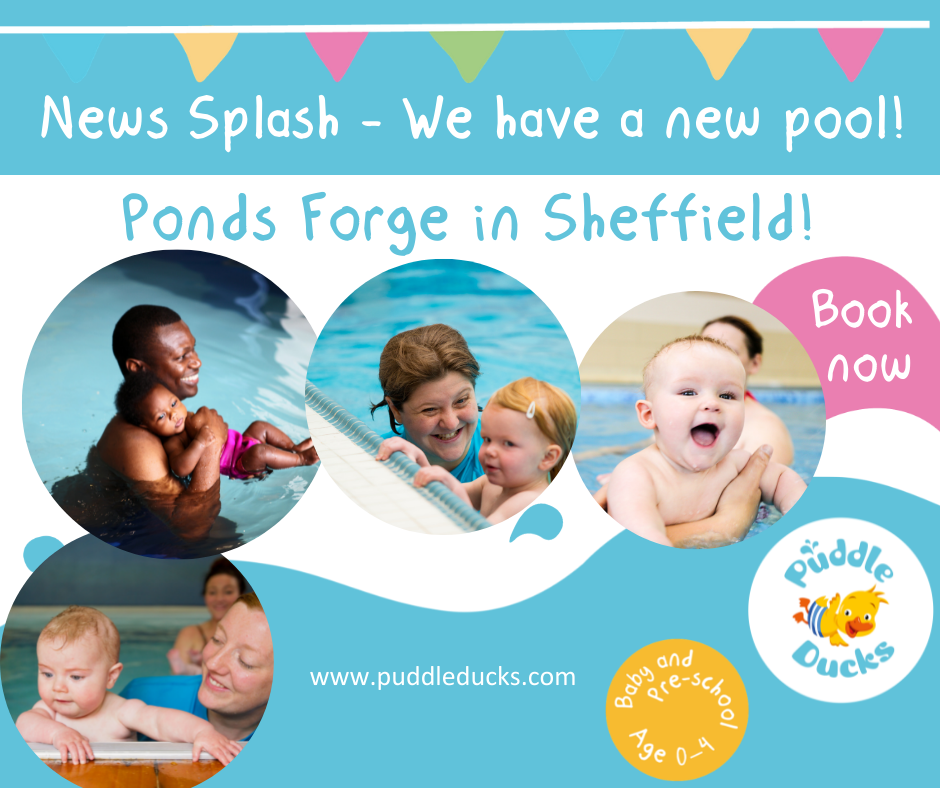 NEW Sheffield Pool!